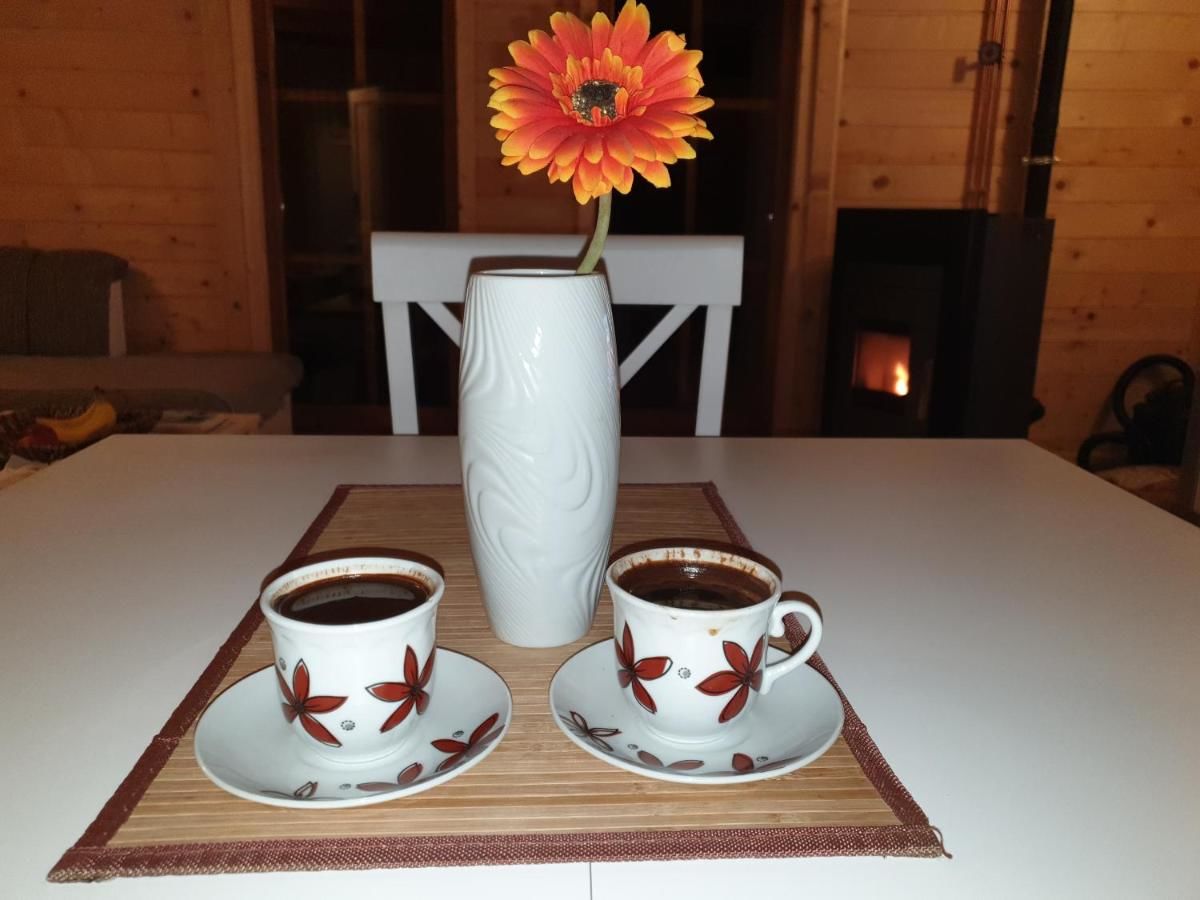 Дома для отпуска Vikendice Itana Жабляк-28