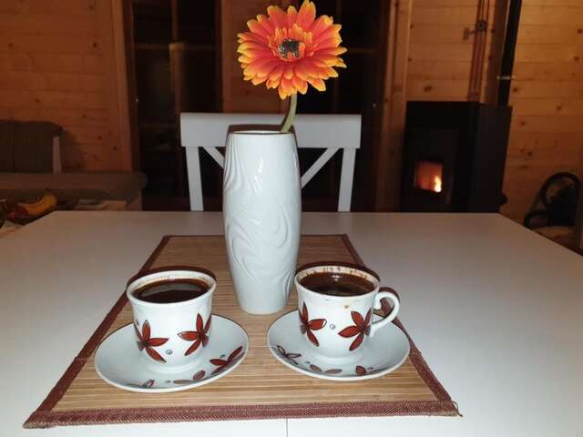 Дома для отпуска Vikendice Itana Жабляк-52